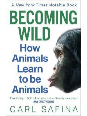Becoming Wild How Animals Learn to Be Animals