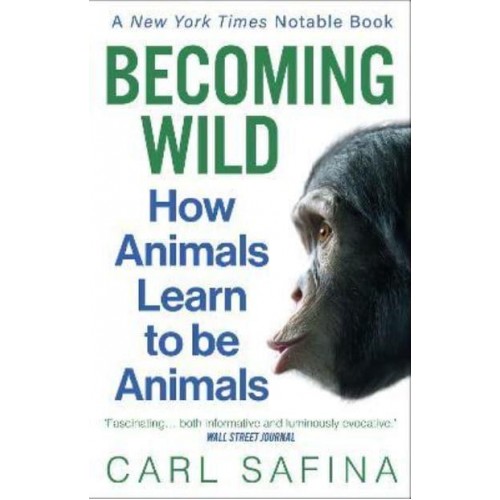 Becoming Wild How Animals Learn to Be Animals