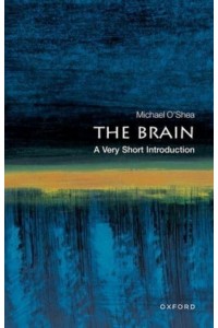 The Brain A Very Short Introduction - Very Short Introductions