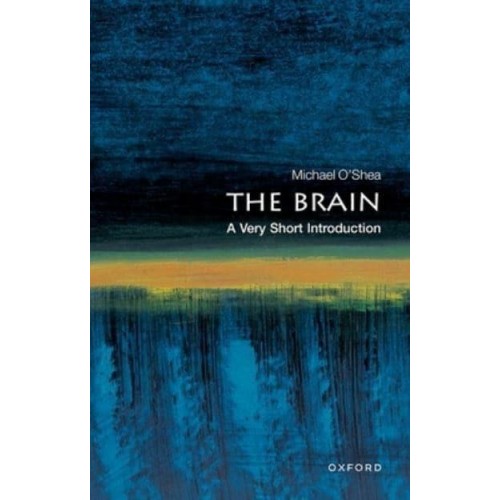 The Brain A Very Short Introduction - Very Short Introductions