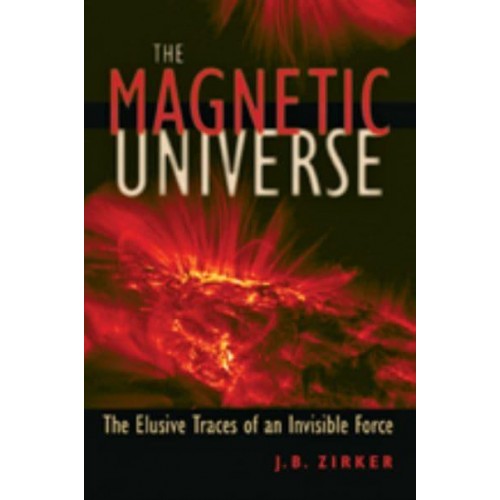 Magnetic Universe: The Elusive Traces of an Invisible Force