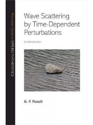 Wave Scattering by Time-Dependent Perturbations An Introduction - Princeton Series in Applied Mathematics