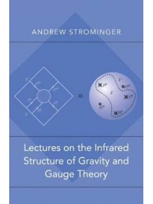 Lectures on the Infrared Structure of Gravity and Gauge Theory