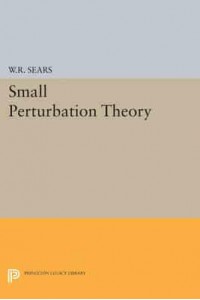 Small Perturbation Theory - Princeton Legacy Library