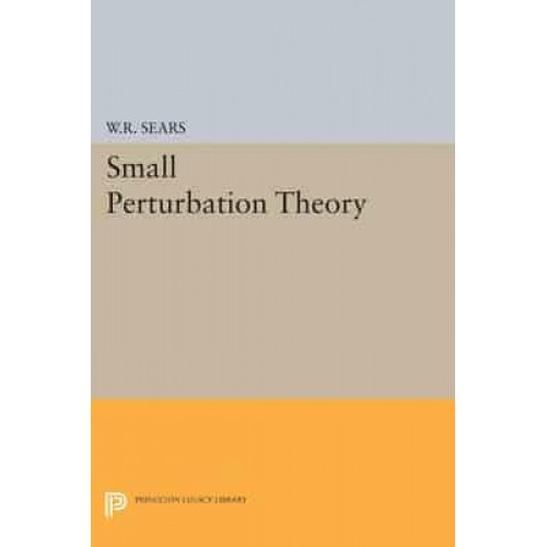 Small Perturbation Theory - Princeton Legacy Library