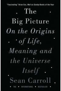 The Big Picture On the Origins of Life, Meaning and the Universe Itself