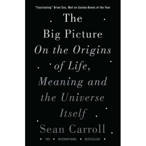 The Big Picture On the Origins of Life, Meaning and the Universe Itself