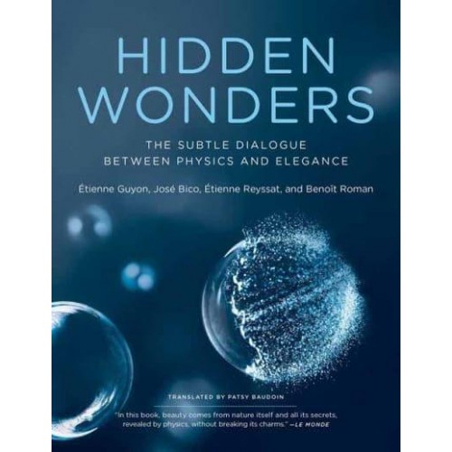 Hidden Wonders The Subtle Dialogue Between Physics and Elegance