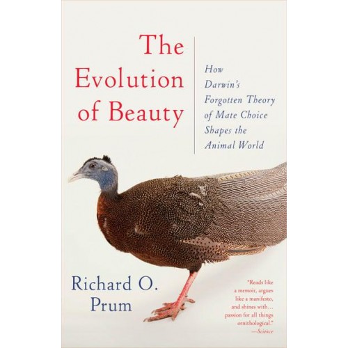 Evolution of Beauty How Darwin's Forgotten Theory of Mate Choice Shapes the Animal World - And Us