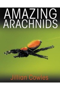 Amazing Arachnids