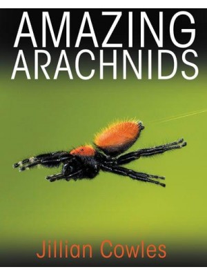 Amazing Arachnids