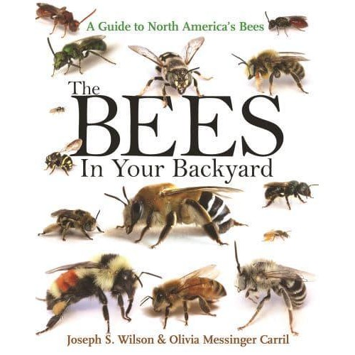 The Bees in Your Backyard A Guide to North America's Bees