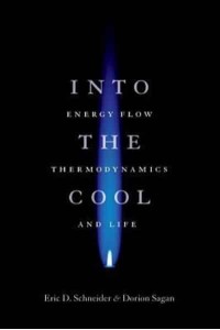Into the Cool Energy Flow, Thermodynamics, and Life