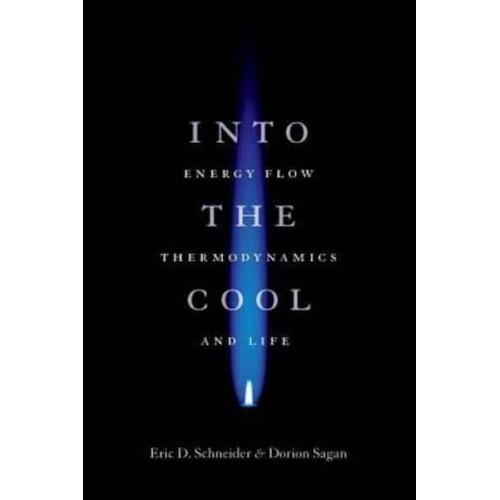Into the Cool Energy Flow, Thermodynamics, and Life