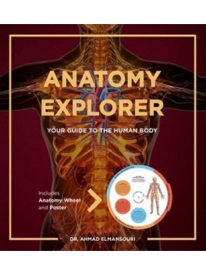 Anatomy Explorer