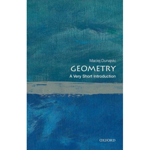 Geometry A Very Short Introduction - Very Short Introductions