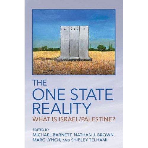 The One State Reality What Is Israel/Palestine?