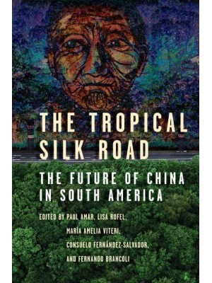 The Tropical Silk Road The Future of China in South America
