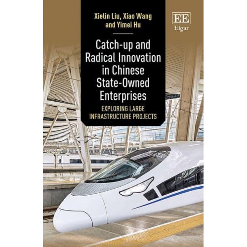 Catch-Up and Radical Innovation in Chinese State-Owned Enterprises Exploring Large Infrastructure Projects
