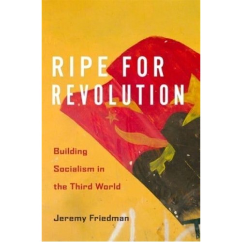 Ripe for Revolution Building Socialism in the Third World