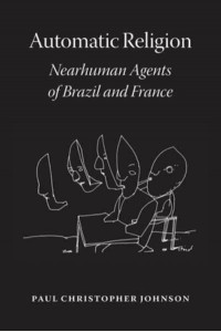 Automatic Religion Nearhuman Agents of Brazil and France