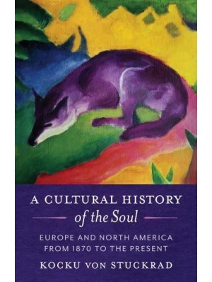 A Cultural History of the Soul Europe and North America from 1870 to the Present