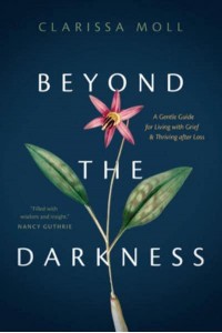 Beyond the Darkness A Gentle Guide for Living With Grief and Thriving After Loss
