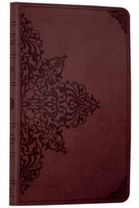 The Holy Bible English Standard Version