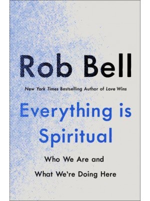 Everything Is Spiritual A Brief Guide to Who We Are and What We're Doing Here