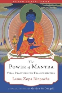 The Power of Mantra Vital Energy for Transformation - Rinpoche