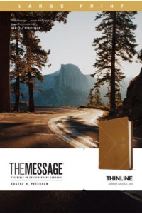 The Message