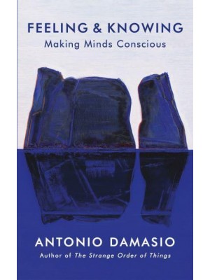 Feeling and Knowing Making Minds Conscious