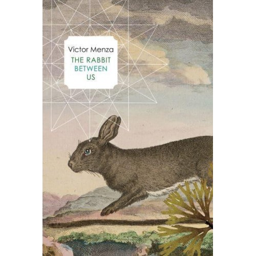 The Rabbit Between Us
