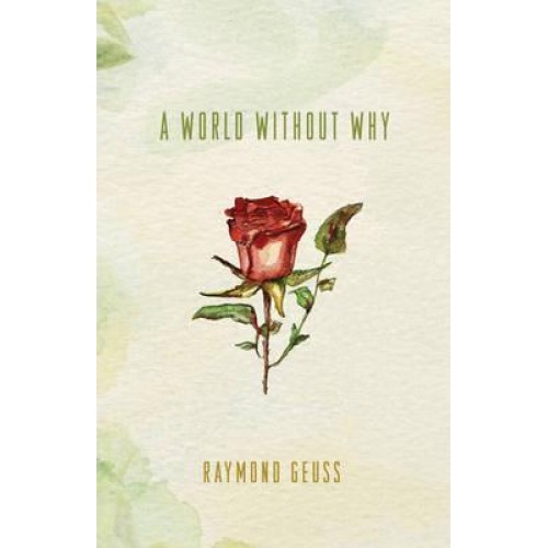 A World Without Why