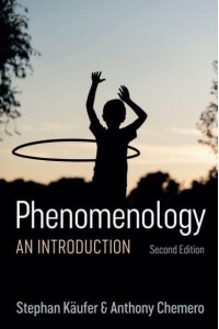 Phenomenology An Introduction