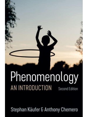 Phenomenology An Introduction