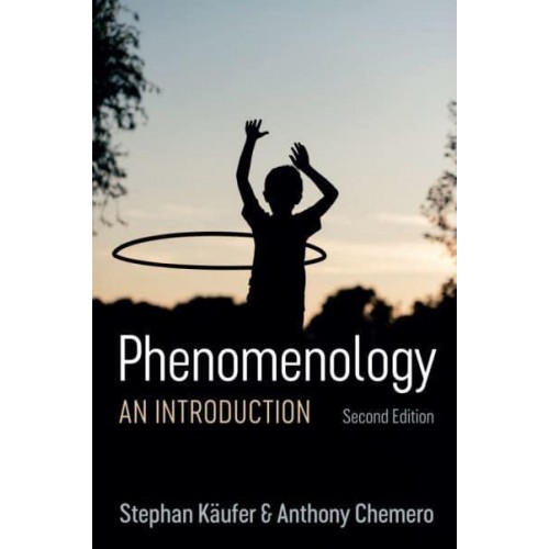 Phenomenology An Introduction