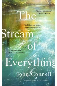 The Stream of Everything