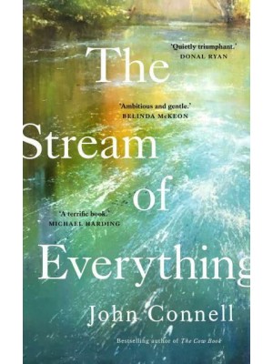 The Stream of Everything