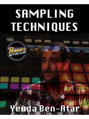 Sampling Techniques for the Modern Musician