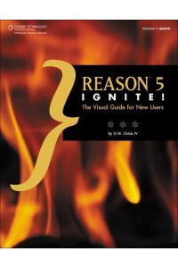 Reason 5 Ignite The Visual Guide for New Users