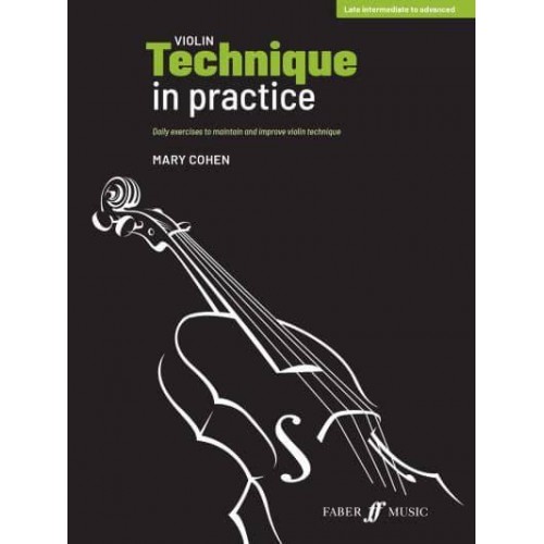Violin Technique in Practice