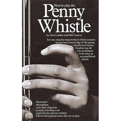How to Play the Penny Whistle In the Key of D