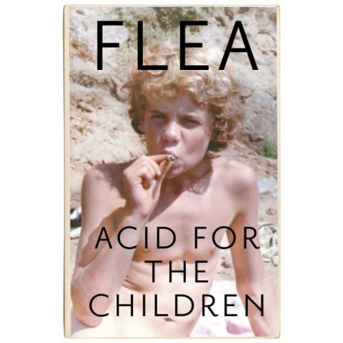 Acid for the Children A Memoir