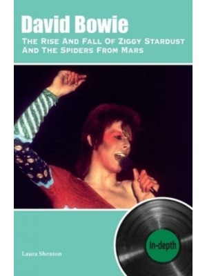 David Bowie The Rise And Fall Of Ziggy Stardust And The Spiders From Mars In-Depth