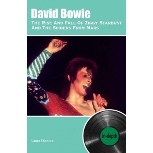 David Bowie The Rise And Fall Of Ziggy Stardust And The Spiders From Mars In-Depth