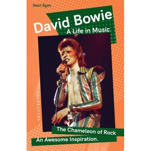 David Bowie - Want to Know More About Rock & Pop?