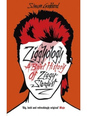 Ziggyology A Brief History of Ziggy Stardust