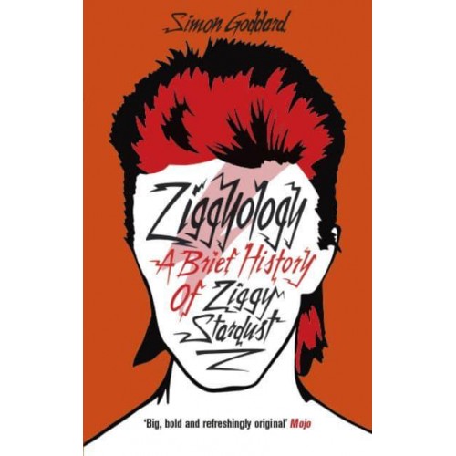 Ziggyology A Brief History of Ziggy Stardust
