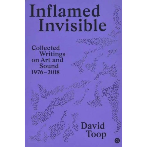 Inflamed Invisible Collected Writings on Art and Sound, 1976-2018 - Sonics Series